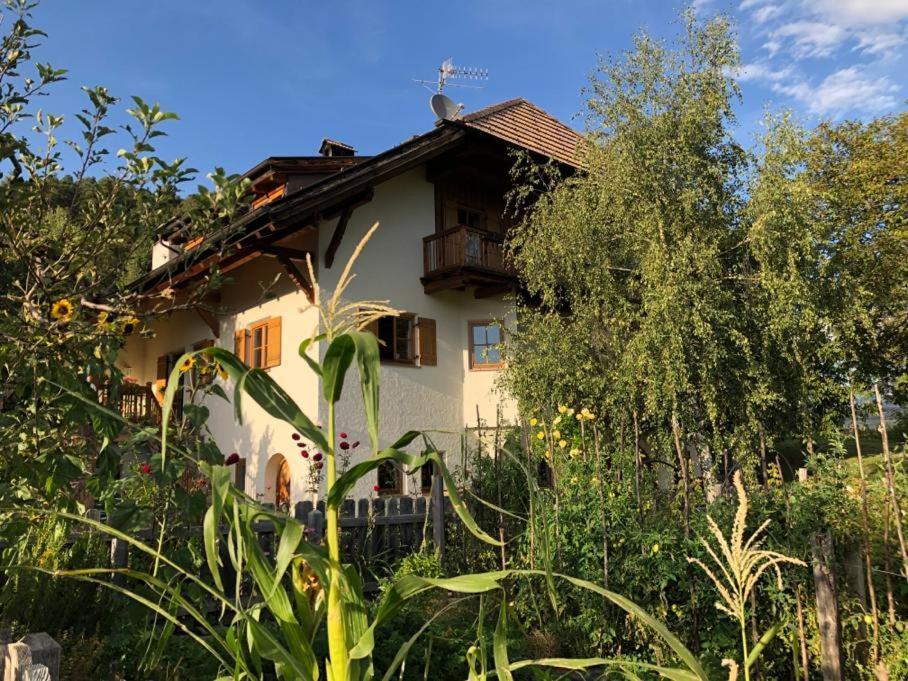 Birbamergut Longostagno Exterior foto